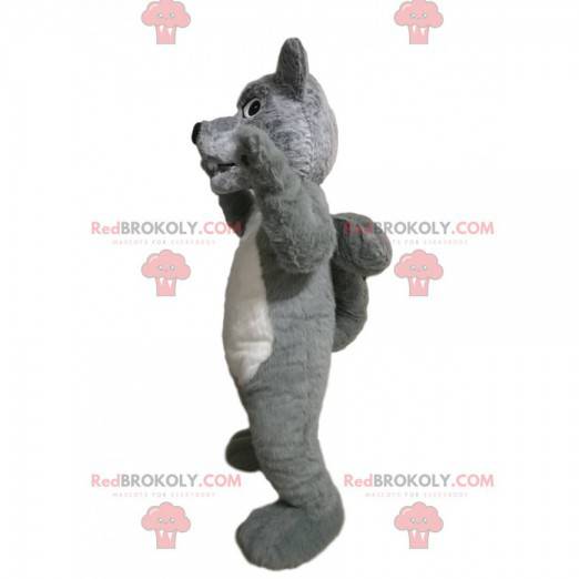 Mascota lobo gris y blanco agresivo - Redbrokoly.com