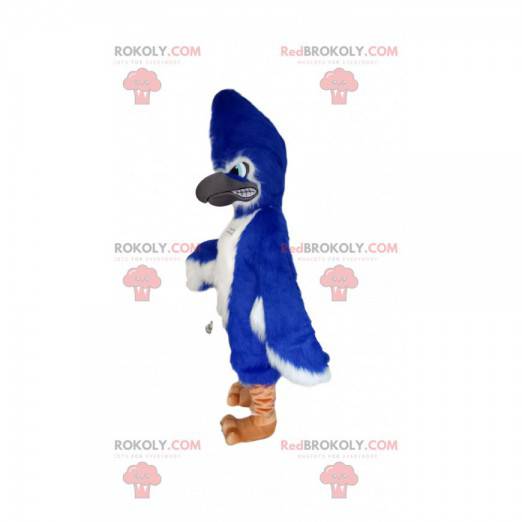 Mascota águila azul llameante. Disfraz de águila -