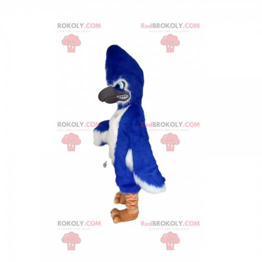 Mascotte d'aigle bleu flamboyant. Costume d'aigle -