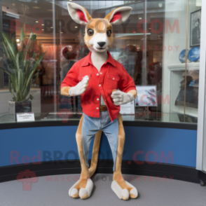 Red Kangaroo mascot costume character dressed with a Bootcut Jeans and Bracelet watches