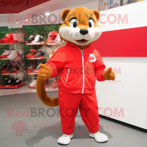 Red Mongoose mascotte...
