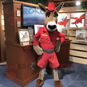 Red Donkey maskot kostym...
