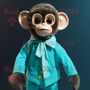 Teal Capuchin Monkey...