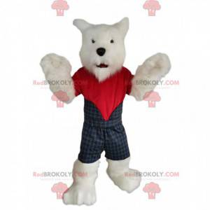 Westie mascot, the Scottish dog, with a Scottish outfit! -
