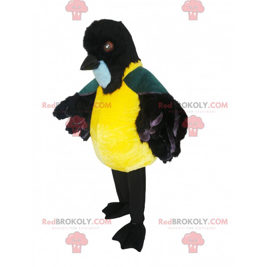 Mascotte met gedrongen mezen met een mooie zwarte snavel - Mascotte met gedrongen mezen met een mooie zwarte snavel -