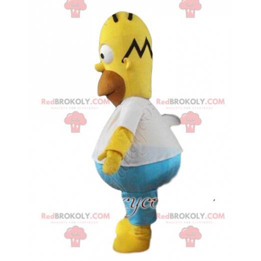 Mascot Omer Simpson. Omer Simpson kostume - Redbrokoly.com