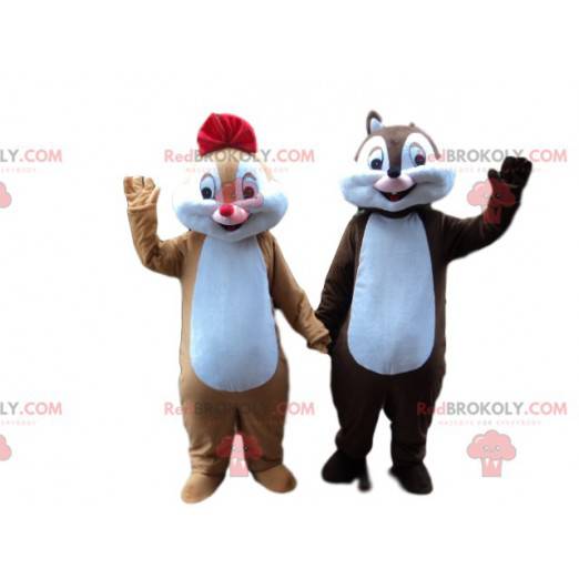 Casal mascote esquilo marrom e caramelo - Redbrokoly.com