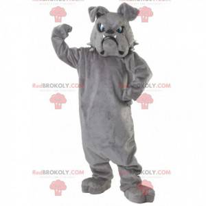 Mascotte bulldog grigio con gli occhi azzurri - Redbrokoly.com