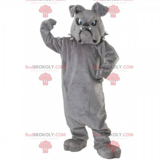 Gray bulldog mascot with blue eyes - Redbrokoly.com