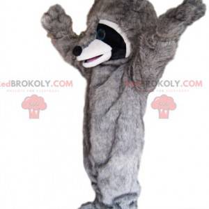 Meget entusiastisk vaskebjørn maskot! - Redbrokoly.com