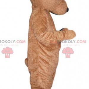 Braunbär Maskottchen. Teddybär Kostüm - Redbrokoly.com