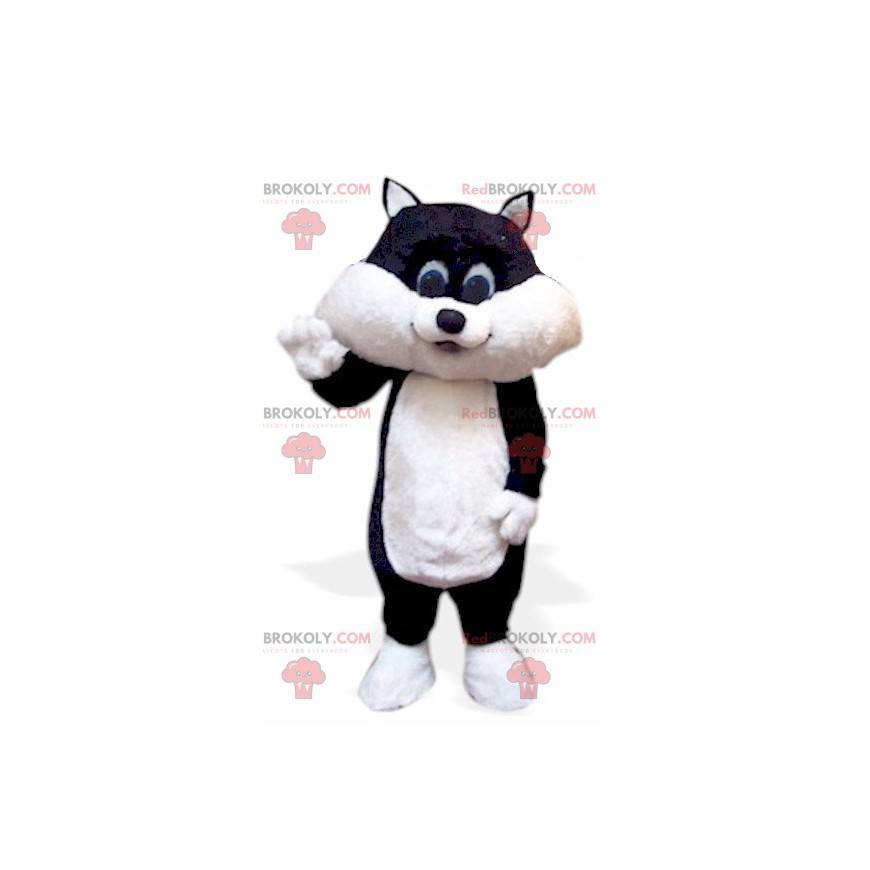Mascota de gatito gato blanco y negro - Redbrokoly.com