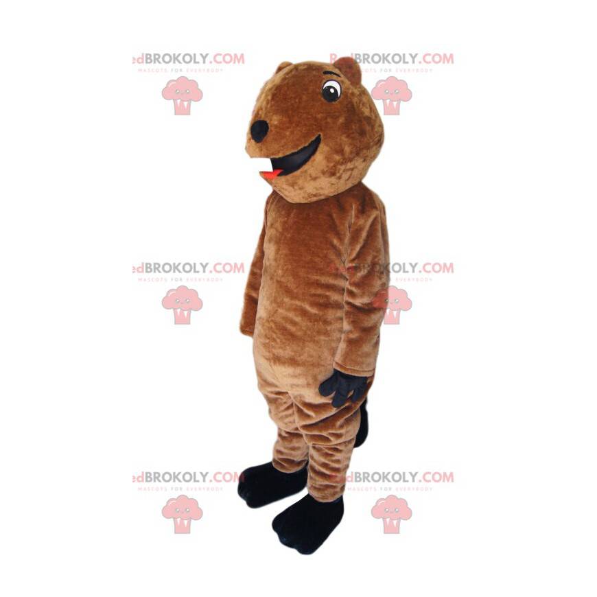 Mascotte orso bruno molto divertente. Costume da orso -