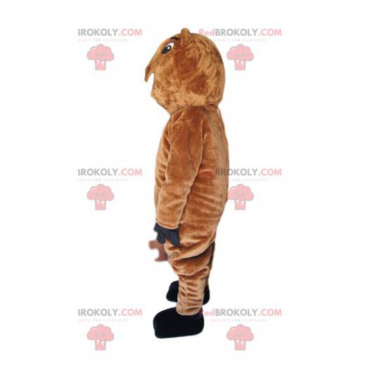 Mascotte d'ours marron très amusant. Costume d'ours -