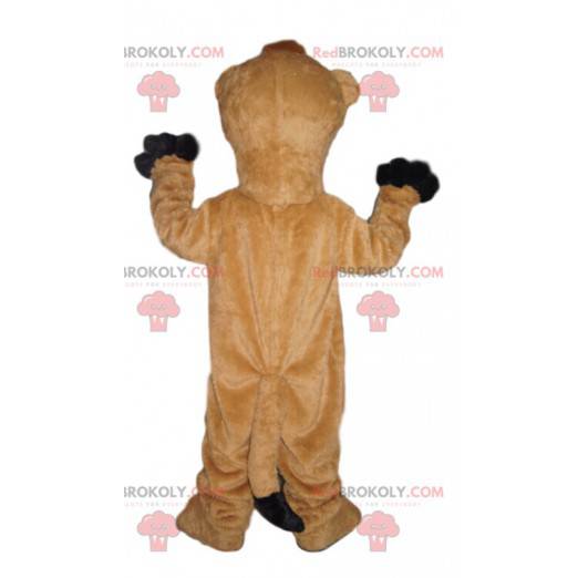 Super entusiasmado mascote de caramelo e mangusto branco -