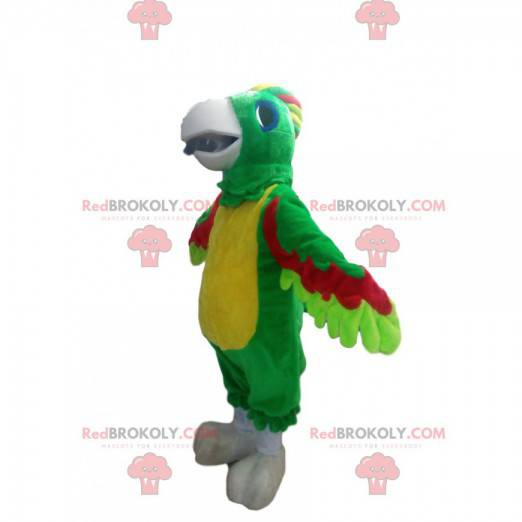 Mascote papagaio multicolorido com uma linda crista -