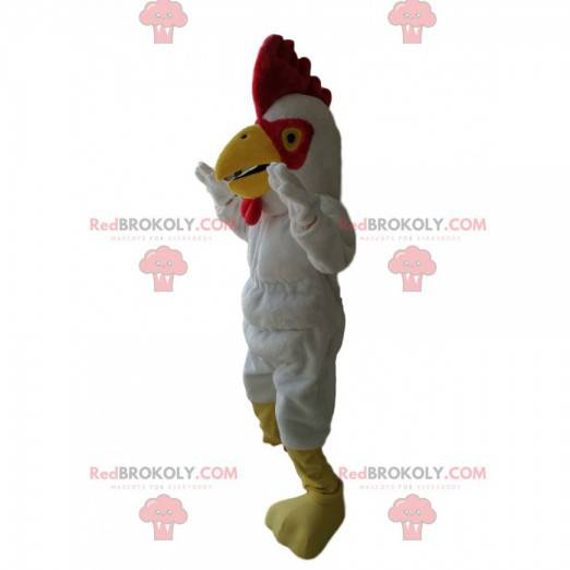 Mascot white rooster with a magnificent red crest -