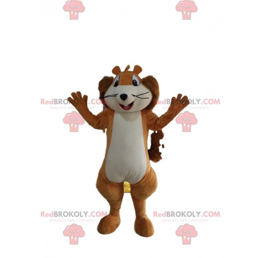Very funny little squirrel mascot. Little squirrel costume -