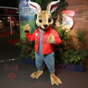 Red Kangaroo mascot costume character dressed with a Bootcut Jeans and Bracelet watches