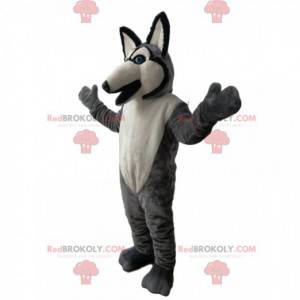 Mascotte de loup gris et blanc avec des yeux bleus -