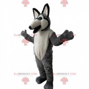 Grijze en witte wolf mascotte met blauwe ogen - Redbrokoly.com