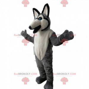 Mascotte de loup gris et blanc avec des yeux bleus -