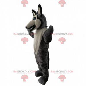 Šedý a bílý vlk maskot s modrýma očima - Redbrokoly.com