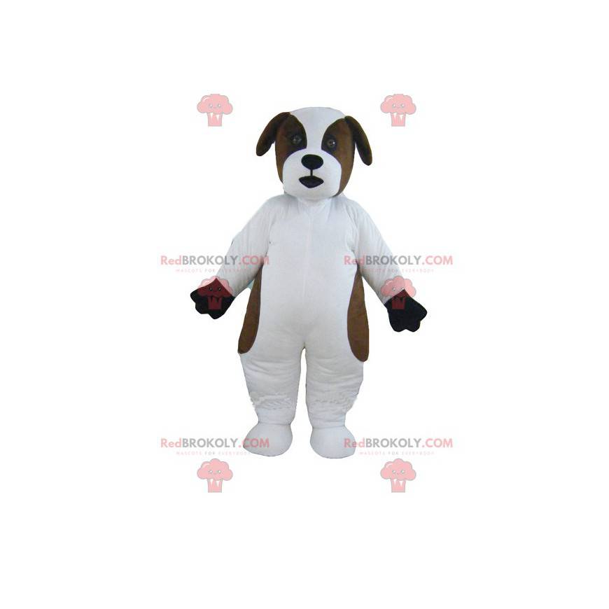 Mascote cachorro branco e marrom São Bernardo - Redbrokoly.com