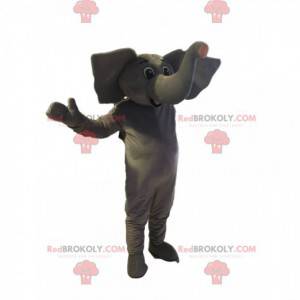 Graues Elefantenmaskottchen mit riesigen Ohren - Redbrokoly.com