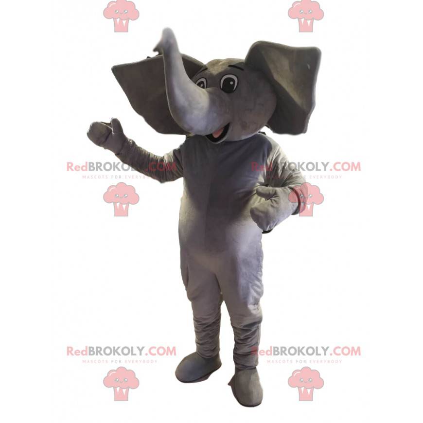 Šedý slon maskot s obřími ušima - Redbrokoly.com Šedý slon maskot s obřími ušima - Redbrokoly.com