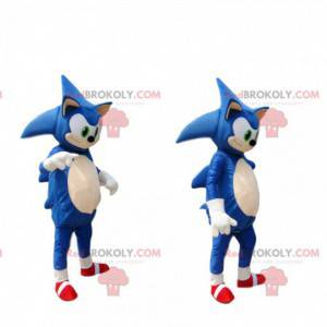 Sonic maskot, den berømte blå pindsvin fra Sega - Redbrokoly.com