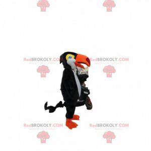 Mascot sort og hvid tukan med en smuk orange næb -