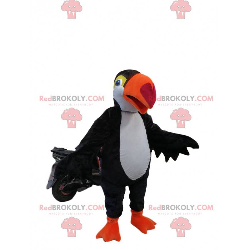 Mascot black and white toucan with a beautiful orange beak -