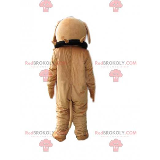 Aggressiv beige bull-dog maskot med krave - Redbrokoly.com