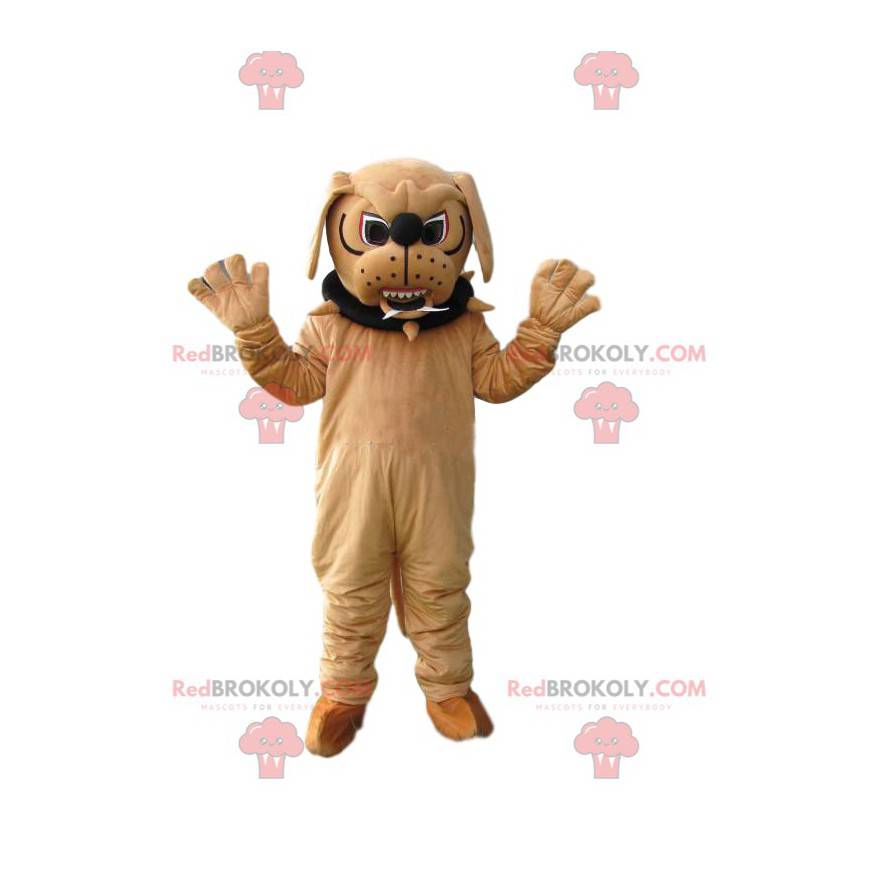 Mascotte de bull-dog beige agressif avec un collier -