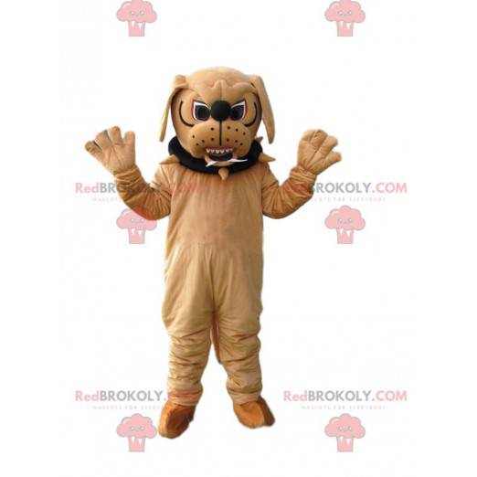 Aggressive beige bull-dog mascot with a collar - Redbrokoly.com