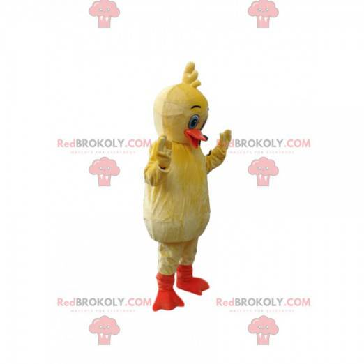 Mascot yellow duckling with an orange beak - Redbrokoly.com