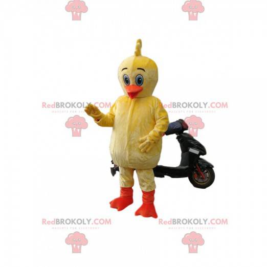 Mascot yellow duckling with an orange beak - Redbrokoly.com