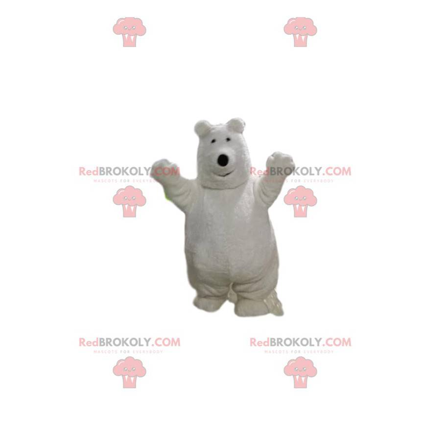 Mascotte d'ours blanc. Costume d'ours blanc - Redbrokoly.com