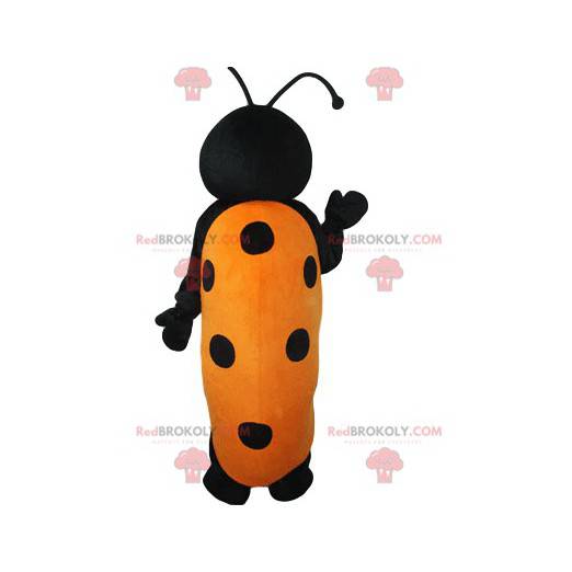 Mascote joaninha preta e amarela muito engraçada -