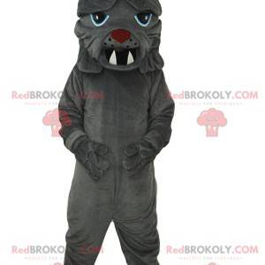 Gray bull dog mascot with big teeth - Redbrokoly.com