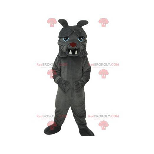 Grå oksehundmaskot med store tenner - Redbrokoly.com