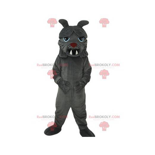 Mascotte di cane toro grigio con grandi denti - Redbrokoly.com