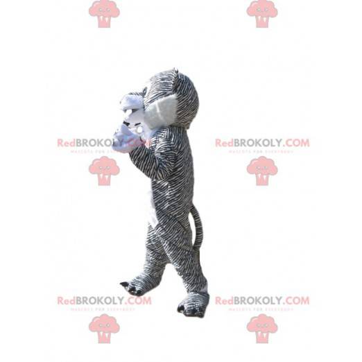 Mascot white and black tiger. Tiger costume - Redbrokoly.com