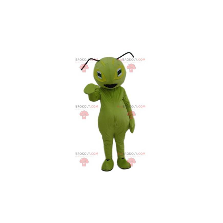 Groene mier mascotte. Groen mierenkostuum - Redbrokoly.com
