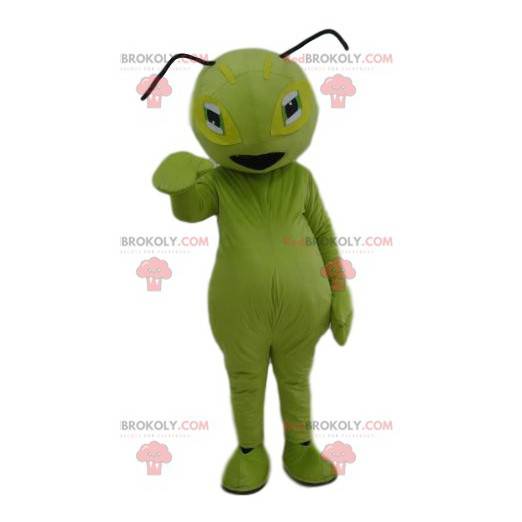 Green ant mascot. Green ant costume - Redbrokoly.com