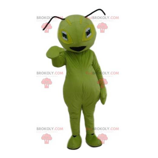 Mascota de la hormiga verde. Disfraz de hormiga verde -