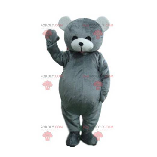 Mascota del oso gris tocando. Disfraz de oso de peluche -