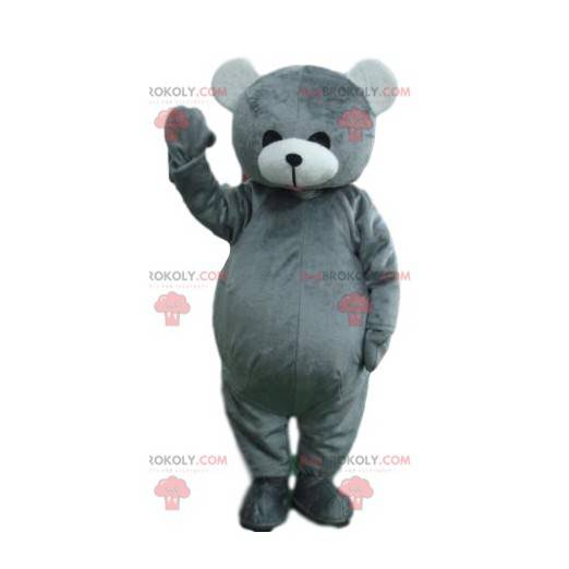 Mascotte dell'orso grigio che tocca. Costume da orsacchiotto -