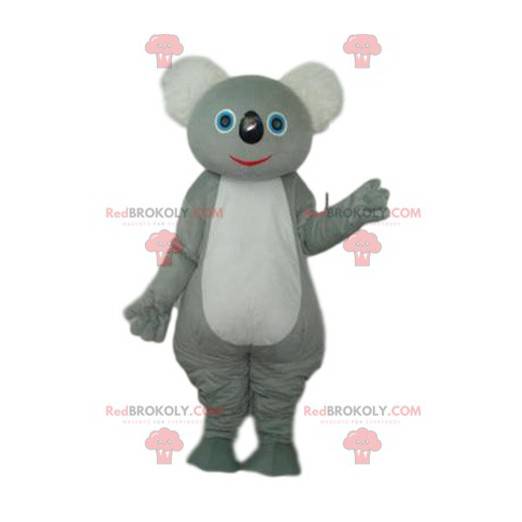 Gray and white koala mascot. Koala costume - Redbrokoly.com